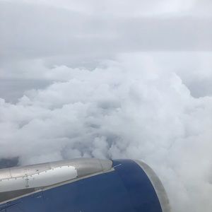 NEXT SHIPPING DATE: January 31ish!